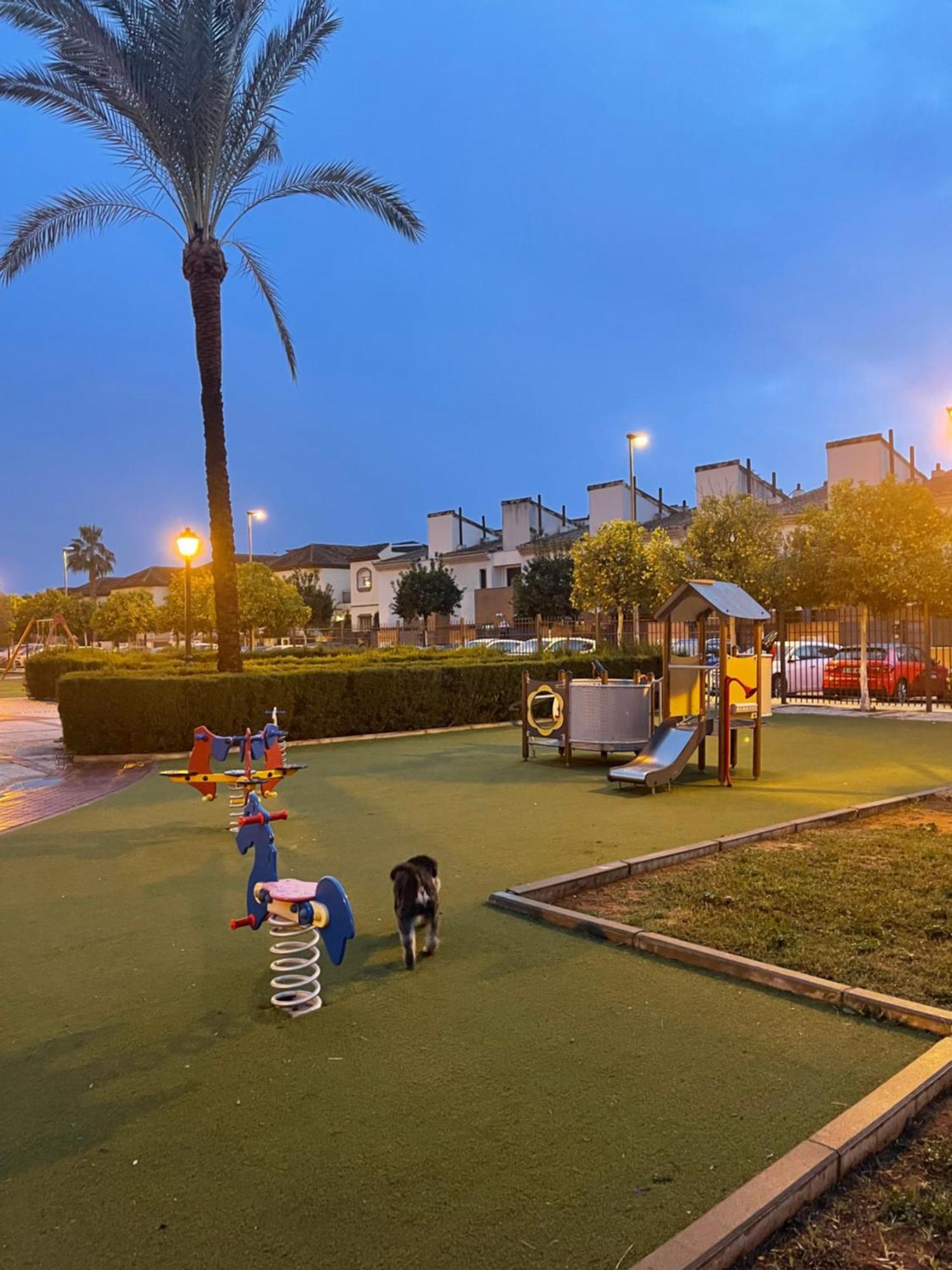 Stelarium-Suite Con Bano Privado En Casa Compartida-Uebica2 Mairena del Aljarafe Exteriör bild